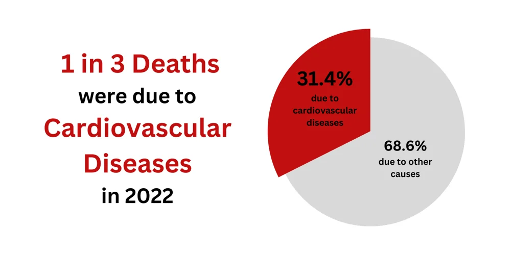 1 in 3 deaths were due to cardiovascular diseases in 2022.